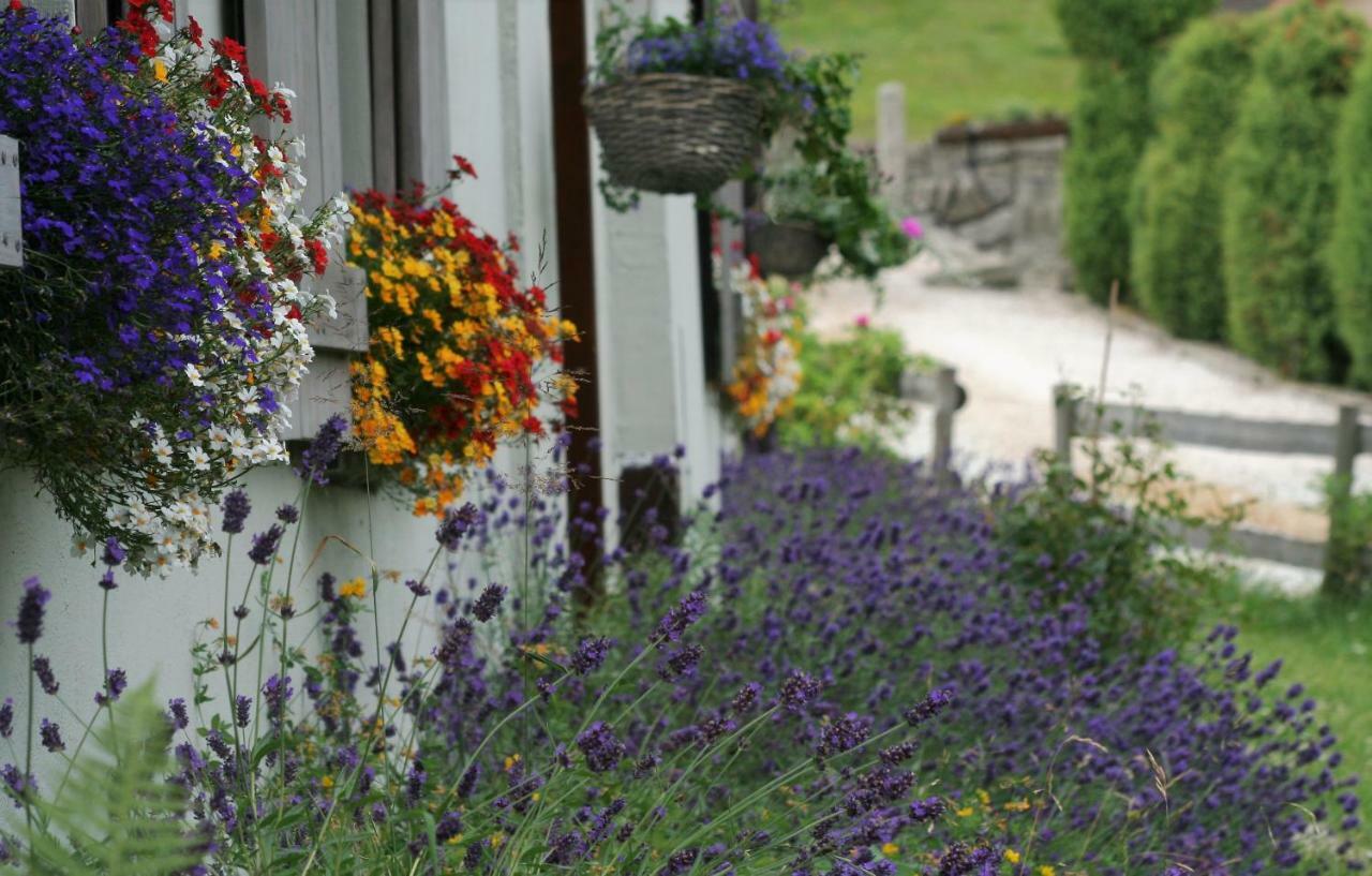 Hotel Lavendowo Piechowice  Exteriér fotografie